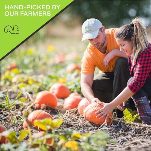 NUT CRAVINGS - Roasted & Salted Pumpkin Seeds, Pepitas, No Shell (16oz - 1 LB) Packed Fresh in Resealable Bag - Nut Snack - Food Assortments - Image 3