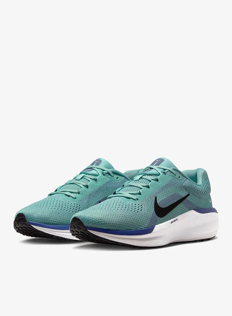 Nike Nike Winflo 11