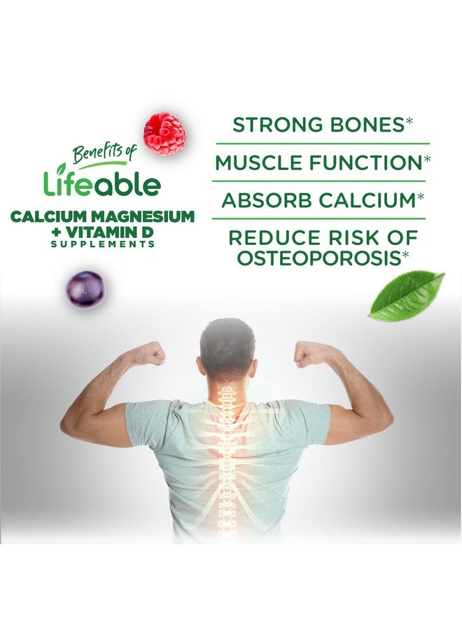 Lifeable Calcium Magnesium and Vitamin D Gummies | Great Tasting Calcium Magnesium Supplement | for Bone Health | Calcium Gummies for Adults | 90 Gummies - Image 3