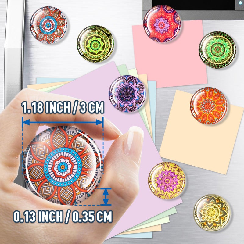 FINDMAG 12 Pcs Magnets Refrigerator, Cute Magnets Fun for Fridge, Whiteboard, Strong Fridge Magnet Circle for Kitchen, Home, Glass Locker Magnet for Gift, School, Picture, Office, Map - Image 2