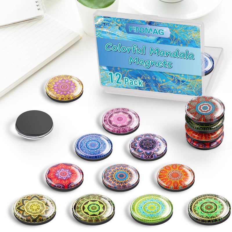 FINDMAG 12 Pcs Magnets Refrigerator, Cute Magnets Fun for Fridge, Whiteboard, Strong Fridge Magnet Circle for Kitchen, Home, Glass Locker Magnet for Gift, School, Picture, Office, Map - Image 3