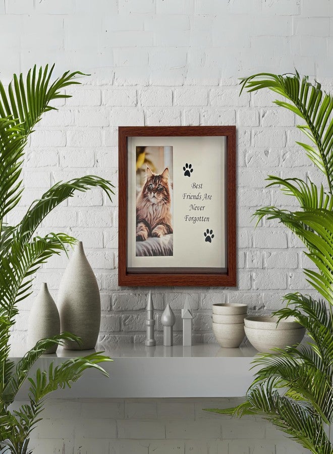 OtterPets Memorial Picture Frame for Pets - Paw Print Kit - Remembrance for Dogs & Cats - Shadow Box with Collar - Keepsake Tribute for Sympathy - Loss of Dog Bereavement Gift (Brown) - Image 5