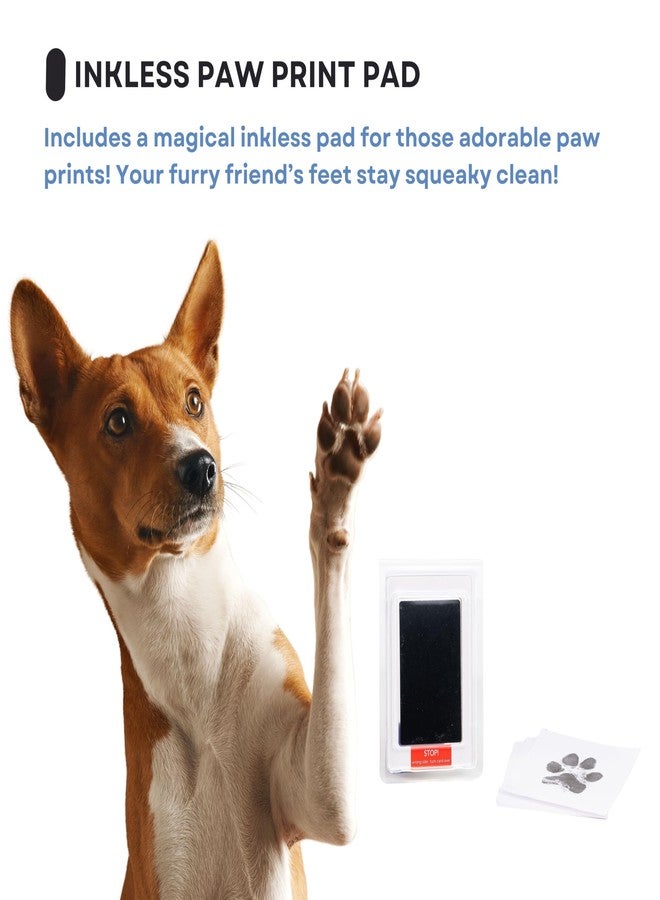 OtterPets Memorial Picture Frame for Pets - Paw Print Kit - Remembrance for Dogs & Cats - Shadow Box with Collar - Keepsake Tribute for Sympathy - Loss of Dog Bereavement Gift (Brown) - Image 4