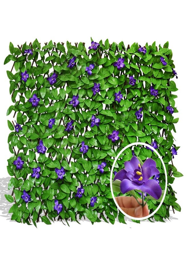 LANDGARDEN سياج لاند جاردن القابل للتمديد، حاجز خصوصية للشرفة أو الفناء الخارجي، لوحة سياج مزخرفة من اللبلاب الصناعي، سياج صناعي (1، لبلاب)... - Image 1