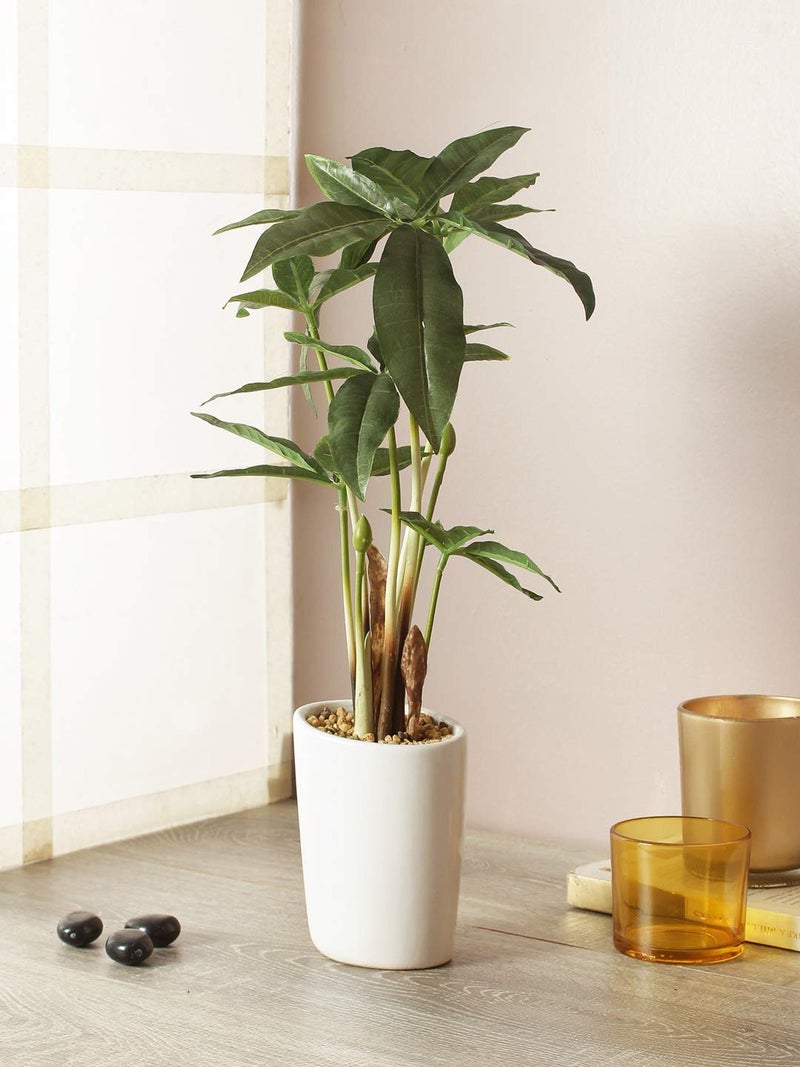 Fourwalls Fourwalls Artificial Pachira Plants in a Ceramic Vase Decoration Items for Living Room Decorative Table Top Indoor Plants Bonsai for Office Desks Counters38 cm Tall GreenWhite 
