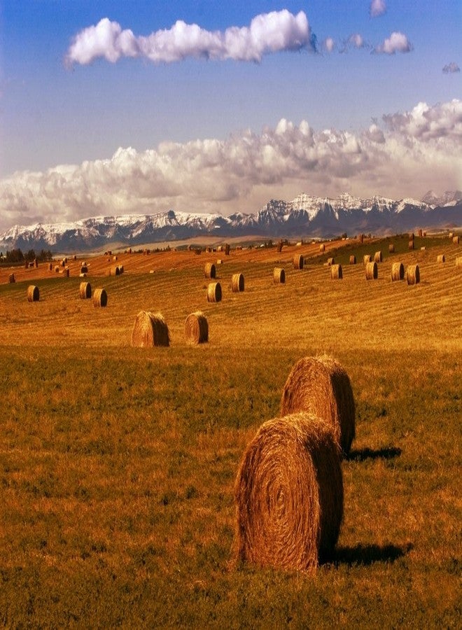 بوستيرازي ملصق مطبوع من Posterazzi Hay Bales، (34 × 22) - Image 2