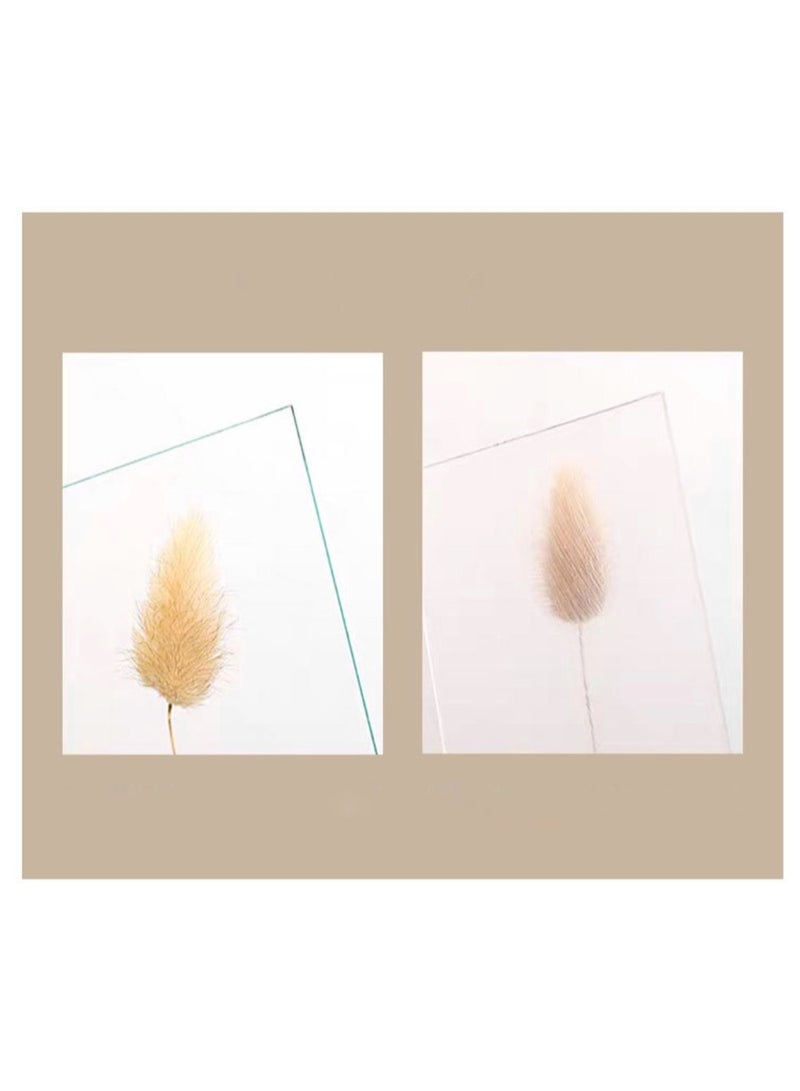 A picture frame with leaves visible from both sides in dark brown in different sizes