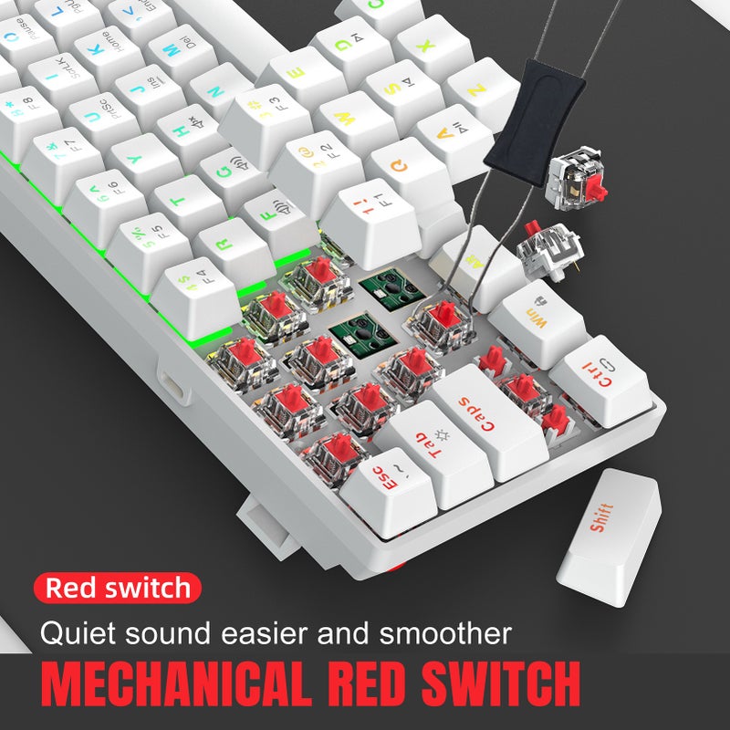 V900 60% Mechanical Keyboard Wired Gaming Colorful Backlit Gaming 61-Keys Red Switch Compact Keyboard for Home Office PC Laptop - Image 3