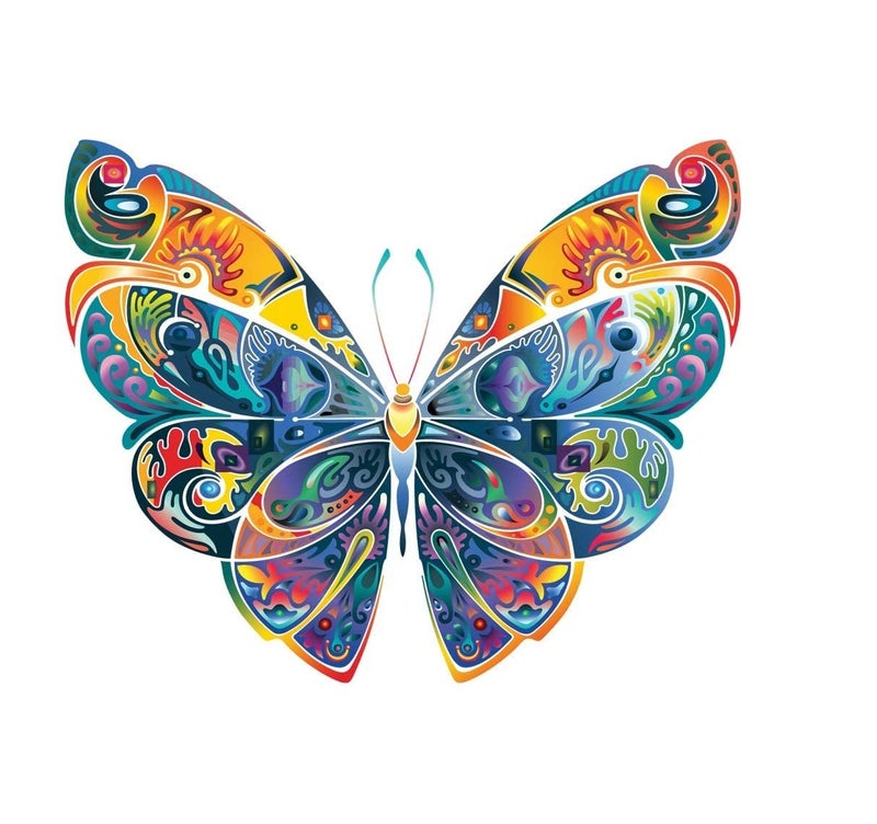 Akki Wold Colorful Butterfly Wall Sticker for Living Room/Bedroom/Office Size - 41 cm X 51 cm - Image 1