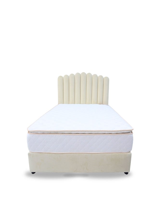Bed and Mattress Zone Springhly Fingers Divan Bed 190x90 Single Size Beige Color  - Image 1