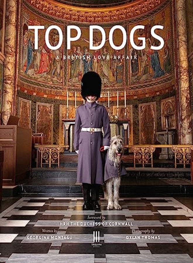 TOP DOGS 