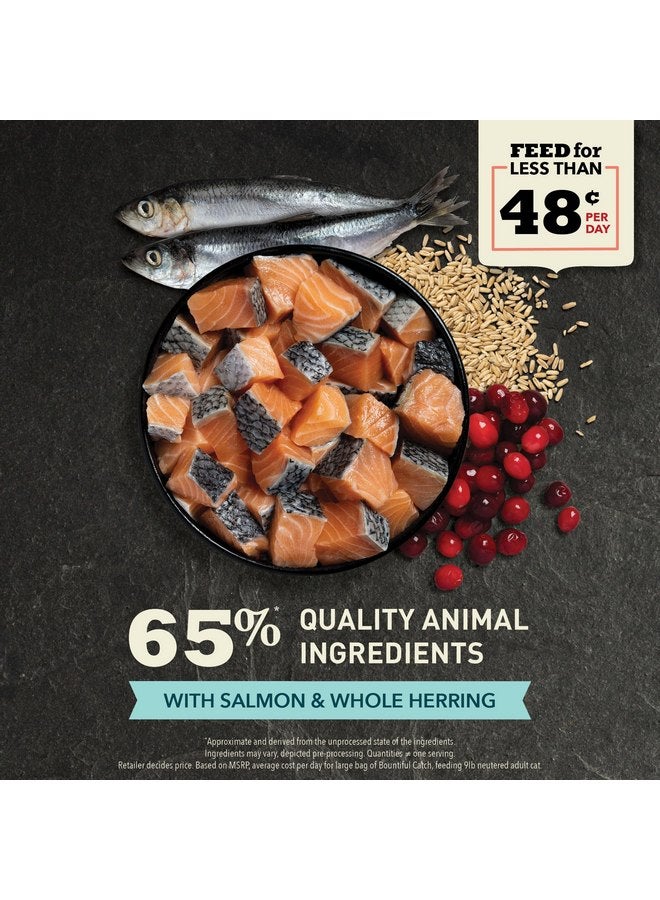 (أسنى) طعام القطط الجاف ACANA Bountiful Catch للقطط البالغة، وصفة سمك السلمون والرنجة الكاملة، طعام القطط السمكي، 10 رطل - Image 3