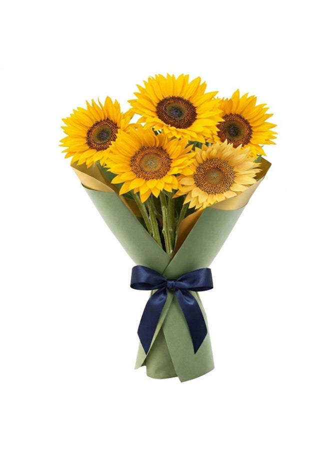 Sunflower, Medium size head -5 stems , Colombia