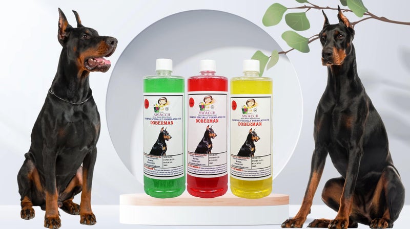 SWACCH Shampoo Specially FORMULATED for Doberman (1 Litre) (Combo Pack of 3) Jasmine, Lemon & NEEM ALOVERA - Image 2