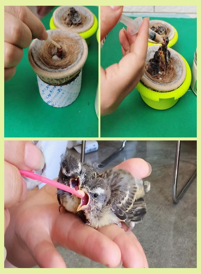 FOIBURELY Baby Bird Gouldian Zebra Finch Canary Society Bird Pet Hand Rearing Feeding Syringes Crop Tubes (9Pcs) - Image 2