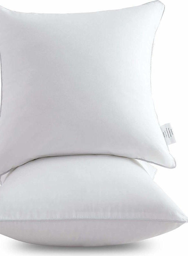 Leeden 20 x 20 Pillow Inserts (Set of 2) - Throw Pillow Inserts with 100% Cotton Cover - 20 Inch Square Decorative Pillows for Sofa, Couch, Bed and Home Decor - Image 1