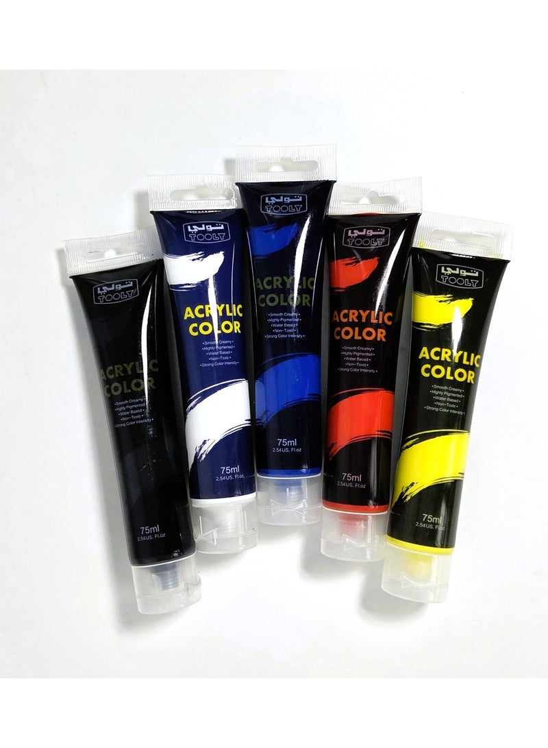 TOOLY Acrylic Paint Set – Assorted Primary Colors (75ml Tubes) for Canvas, Paper, Wood, and Crafts - Image 3