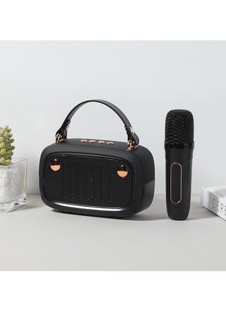 Bluetooth speakers with microphone portable wirelesskaraoke for family gatherings and entertainment,black - pzsku/Z4F86ADAC258BE56AFDD5Z/45/_/1708509885/f8c643b1-10b8-4087-873c-81f04522c535
