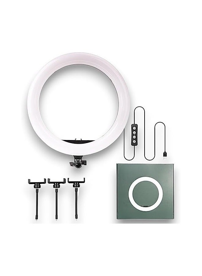 36cm LED Ring Light with 3 Adjustable Tripod Stands and Phone Holder – 3 Light Levels for Selfies, YouTube, Video, Live Streaming, and Makeup – Compatible with iPhone, Android, and Cameras  - Image 1