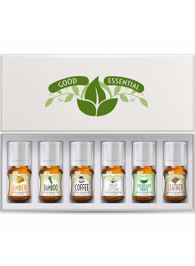 Aesop Fragrance Oils Set of 6 Scented Oils from Amber Oil, Coffee Oil, Leather Oil, Fresh Cotton Oil, Fresh Cut Grass Oil, Bamboo Oil: Aromatherapy, Perfume, Soaps, Candles, Slime, Lotions! - Image 1