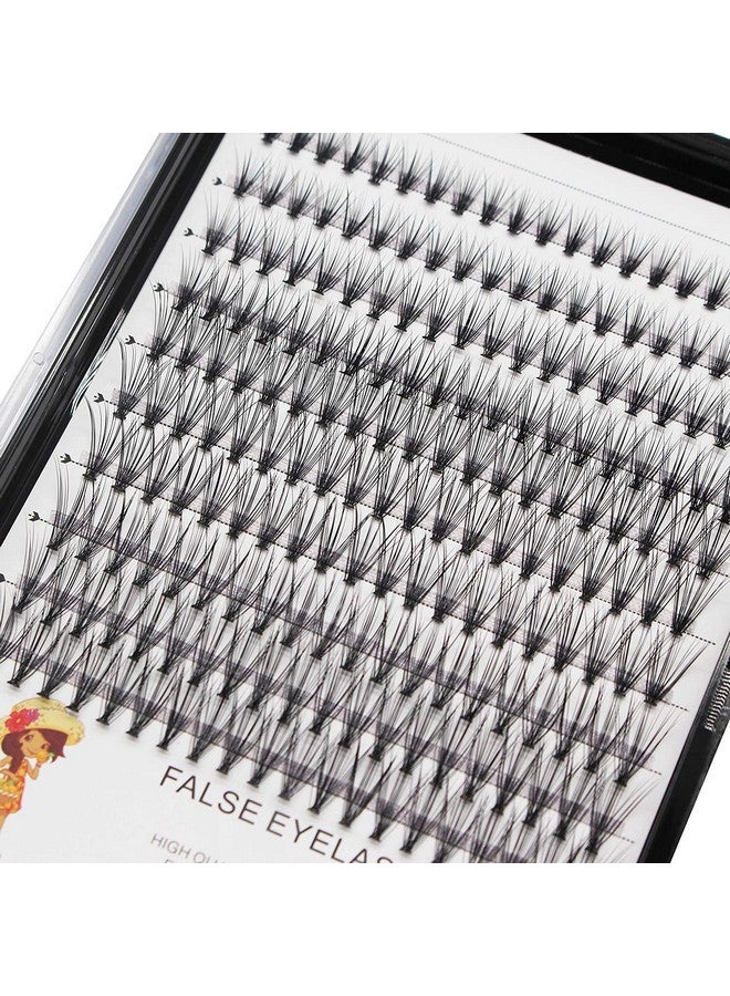 Dedila Large Tray20 Roots Nature Long Cluster False Eyelashes Thickness 0.07Mm C Curl Mixed 8101214Mm/10121416Mm/121416Mm Individual Eyelashes Dramatic Volume Eye Lashes Extensions (121416Mm) - Image 1