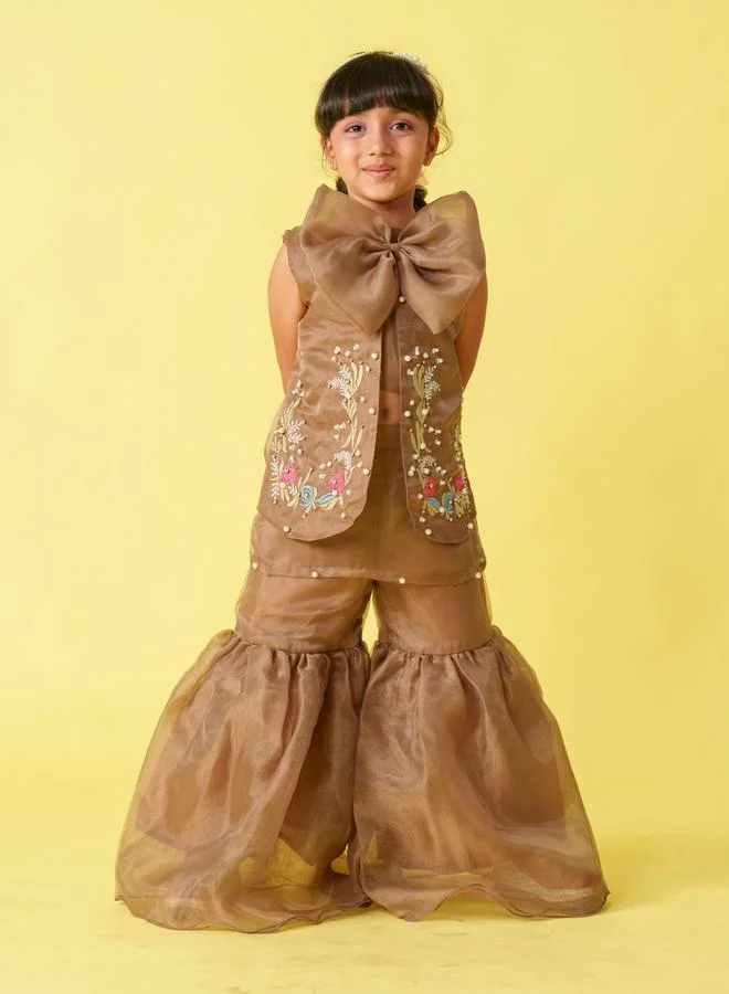 Maithili Maithili Embellished Organza Top and Palazzo Set