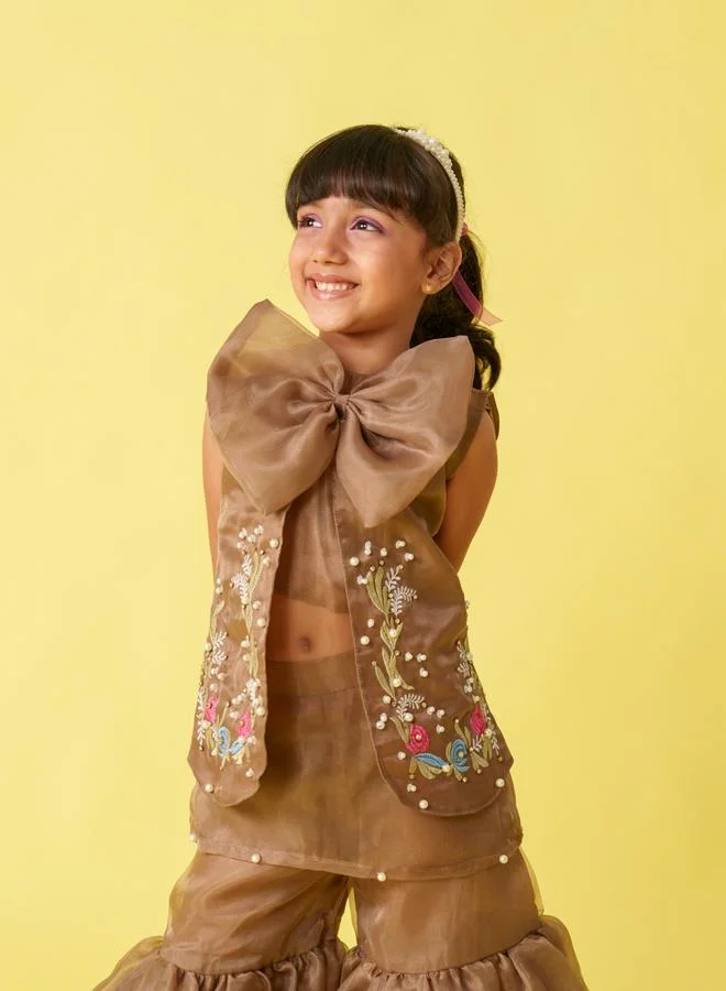 Maithili Maithili Embellished Organza Top and Palazzo Set