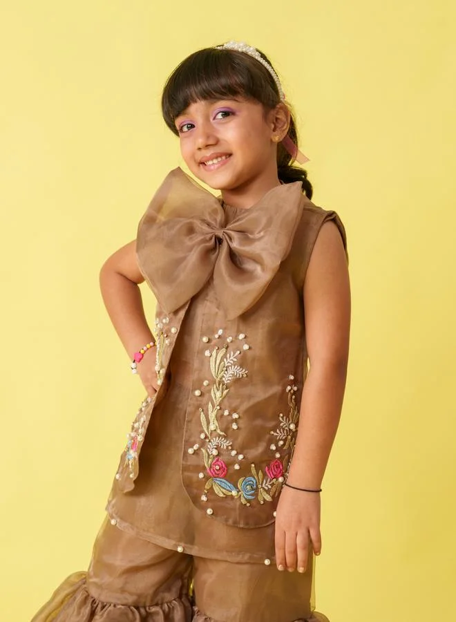 Maithili Maithili Embellished Organza Top and Palazzo Set