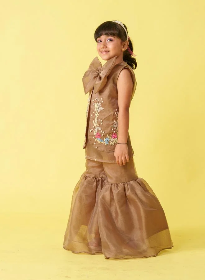 Maithili Maithili Embellished Organza Top and Palazzo Set