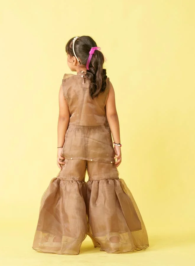 Maithili Maithili Embellished Organza Top and Palazzo Set