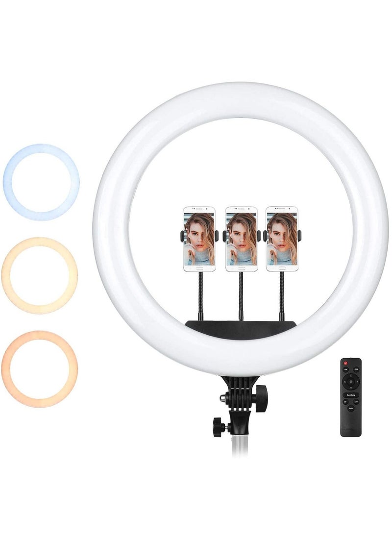DBLEW - 22-Inch Professional Dimmable Circle LED Studio Selfie Ring Light with 2.1 Meter Tripod Stand and Remote YouTube Video Shoot Compatible for iPhone and Android - Image 1