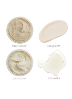 earth to skin Tea Time Starter Set: White Tea Cleanser (1.0 Fl Oz), White Tea Day Cream (0.5 Fl Oz), Black Tea Night Cream (0.5 Fl Oz), Chamomile Eye Cream (0.23 Fl Oz)  - Image 3