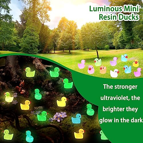 DULEFUN 200pcs Luminous Mini Resin Duck 10 Colors Little Small Ducks Glow in The Dark Duck Figures for Dollhouse Aquarium Decor Micro Fairy Garden Landscape Hide and Seek Prank Toys - Image 3