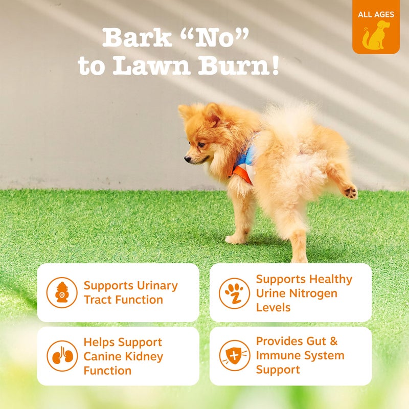 Zesty Paws Stay Green Bites for Dogs - Grass Burn Soft Chews for Lawn Spots Caused by Dog Urine - with Cranberry for Urinary Tract & Bladder - Beef - 90 Count - Image 2