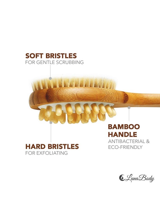 Cherioll Lunabody Bamboo Body Brush For Back Scrub Natural Boar Bristle Shower Brush Scrubber With Long Handle Exfoliate Skin And Cellulite Wet Or Dry - Image 2