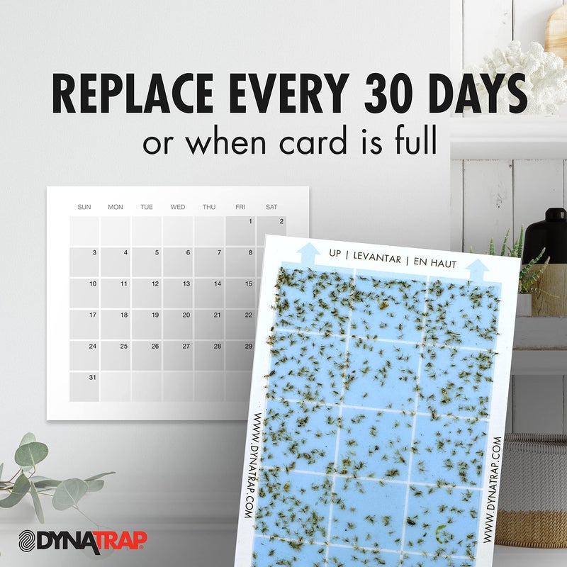 DynaTrap 230093 Replacement StickyTech Glue Cards for Flylight Indoor Plug-In Fly and Flying Insects Trap for Indoor DynaTrap Models DT3009 and DT3019 - 6 Pack - Image 4