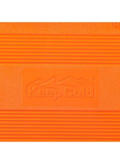 Cosmoplast Keep Cold Plastic Cooler Icebox Deluxe 60 Liters  - Image 5
