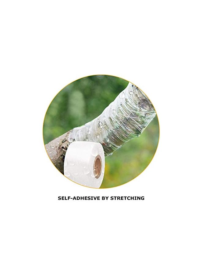 promass Transparent Stretchable Grafting Tape Repair Gardening Tape Fruit Tree Garden Poly Budding Tape - Image 3