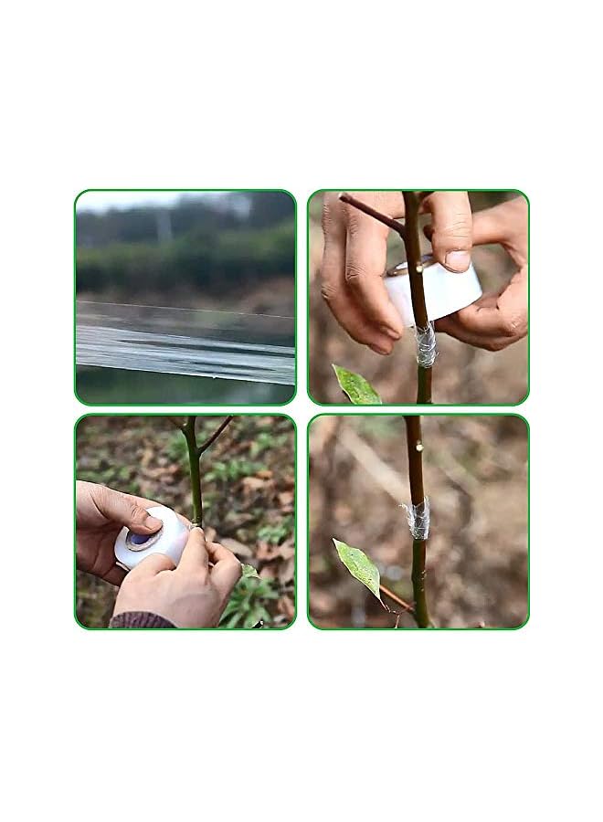 promass Transparent Stretchable Grafting Tape Repair Gardening Tape Fruit Tree Garden Poly Budding Tape - Image 4