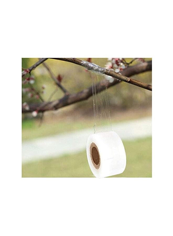 promass Transparent Stretchable Grafting Tape Repair Gardening Tape Fruit Tree Garden Poly Budding Tape - Image 5