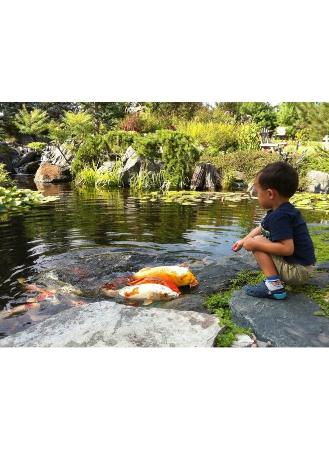 Aquascape - Premium Staple Pond And Koi Fish Food, Mixed Pellet Size, 2.2Pounds - Image 1