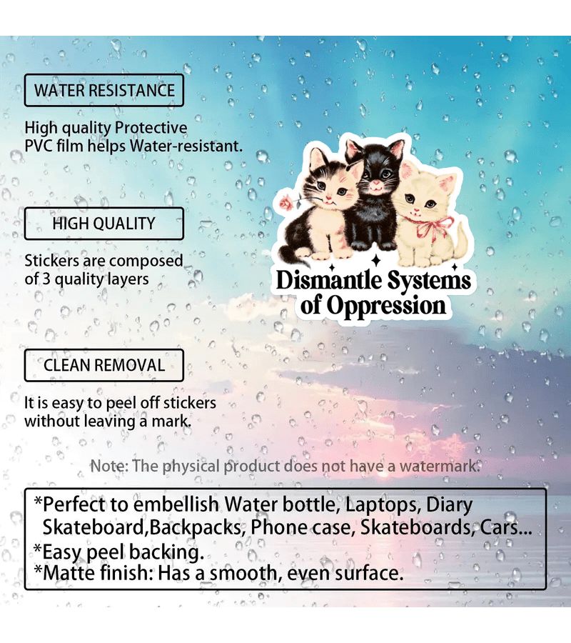 Dismantle Systems Of Oppression Pvc Social Justice Sticker Laptop Retro Cat - Image 3