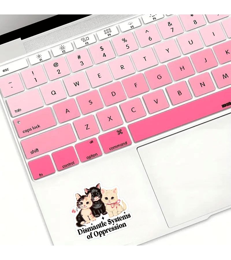 Dismantle Systems Of Oppression Pvc Social Justice Sticker Laptop Retro Cat - Image 5