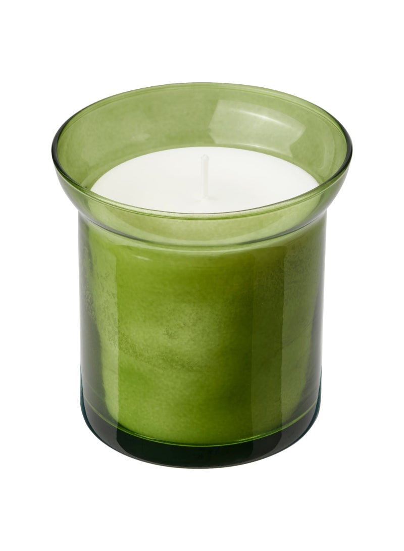 شمعة معطرة في زجاج عشبة طازجة/أخضر فاتح 50 ساعة - Image 1