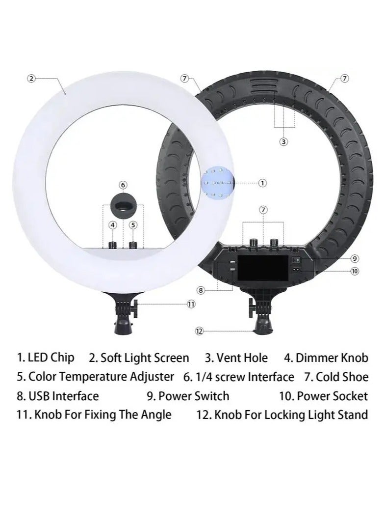 RL 21 LED Soft Ring Light with 3 Mobile Phone Holder 3 Mode Light With Ring Light Tripod Stand - Image 5