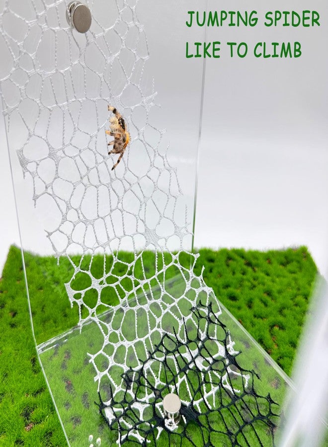 Heyshapeing 6 PCS Jumping Spider Habitat Accessories （3 Black + 3 White - Jumping Spider Webbed Moss Ribbon with Magnets for Enhanced Enclosure and Climbing Experience (Terrarium Not Included) - Image 2