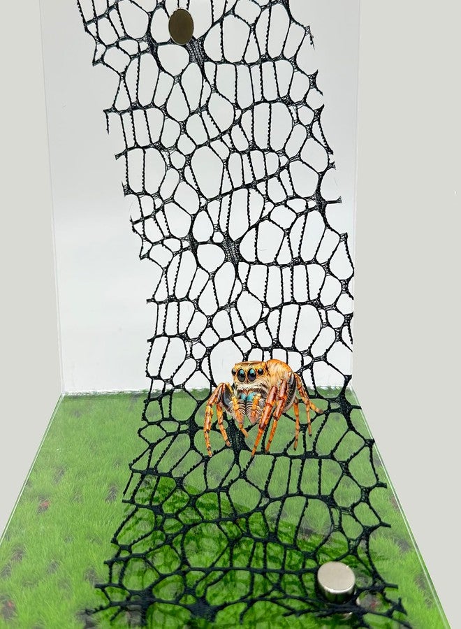 Heyshapeing 6 PCS Jumping Spider Habitat Accessories （3 Black + 3 White - Jumping Spider Webbed Moss Ribbon with Magnets for Enhanced Enclosure and Climbing Experience (Terrarium Not Included) - Image 1