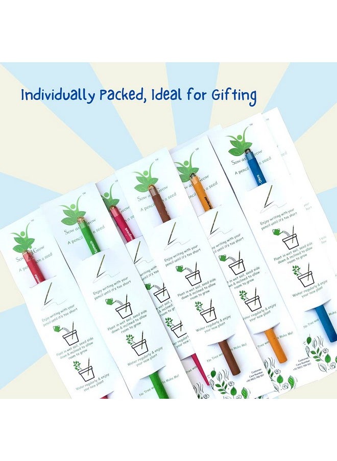 Sow and Grow Sow and Grow Plantable Pencils (Pack Of 10 Single Pencils) Made With 100% Recycled Paper|Eco Friendly|Return Gift|Corporate Gifting|Green  - Image 2