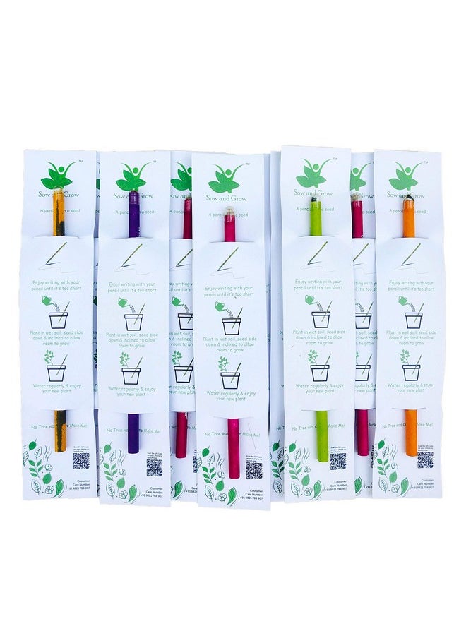 Sow and Grow Sow and Grow Plantable Pencils (Pack Of 10 Single Pencils) Made With 100% Recycled Paper|Eco Friendly|Return Gift|Corporate Gifting|Green  - Image 1