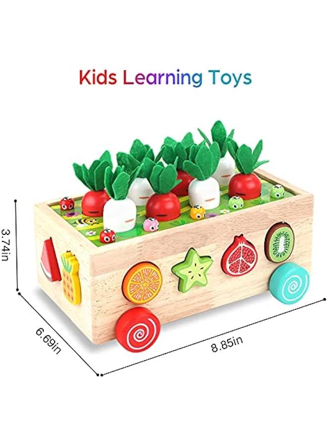Toddlers Montessori Wooden Educational Toys for Baby Boys Girls Age 1 2 3 Year Old, Shape Sorting Toys 1st One First Birthday Girl Gifts for Kids 1-3, Wood Preschool Learning Fine Motor Skills Game - Image 2